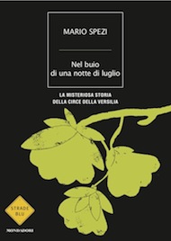"Nel buio di una notte di luglio" di Mario Spezi (Mondadori) "Nel buio di una notte di luglio" di Mario Spezi (Mondadori)